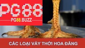 Các loại vảy thới hoa đăng