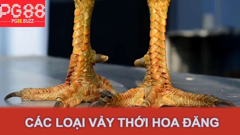 Các loại vảy thới hoa đăng