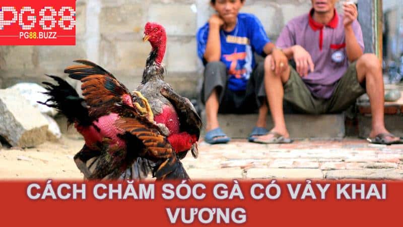 Cách chăm sóc gà có vảy khai vương