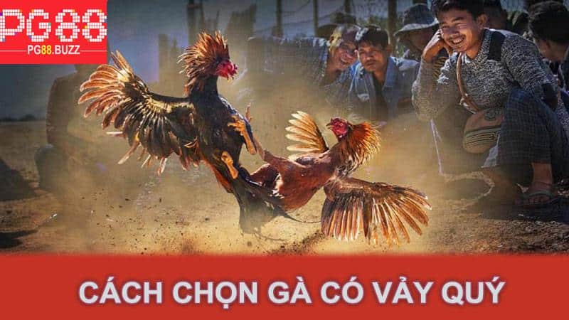 Cách Chọn Gà Có Vảy Quý