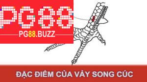 Đặc điểm của vảy song cúc