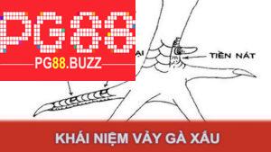 Khái niệm vảy gà xấu