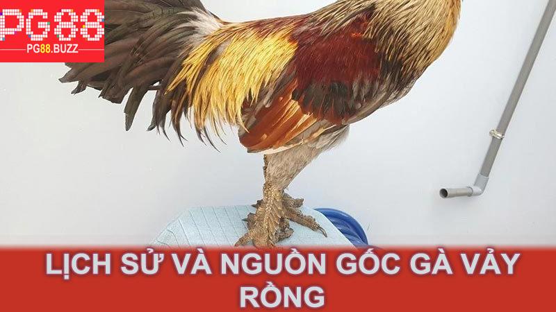 Lịch Sử Và Nguồn Gốc Gà Vảy Rồng