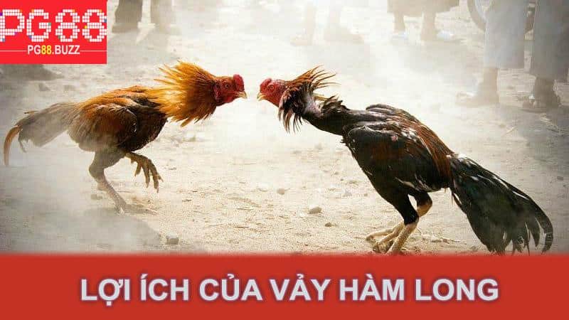 Lợi ích của vảy hàm long