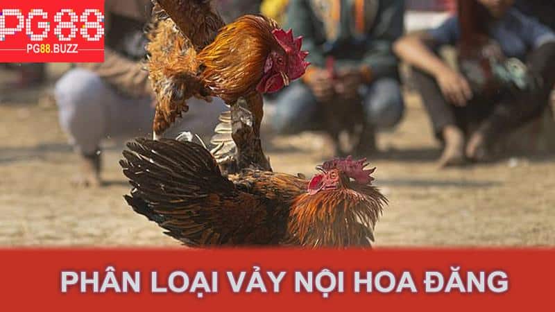 Phân loại vảy nội hoa đăng