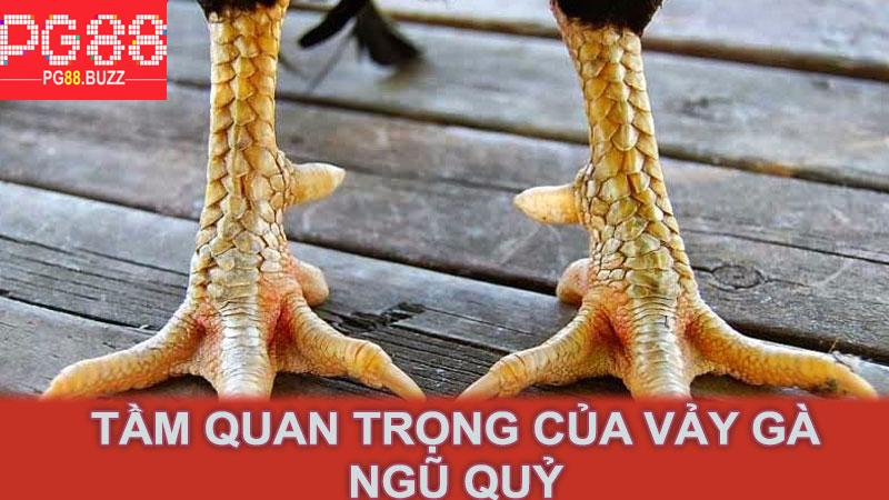 Tầm quan trọng của vảy gà ngũ quỷ