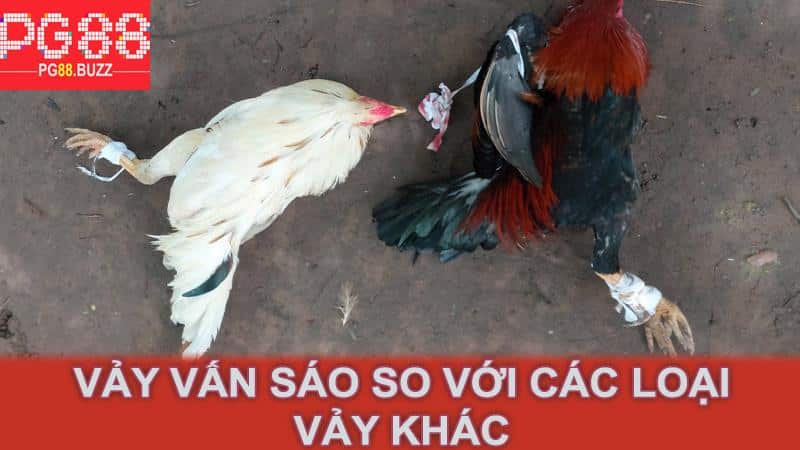 Vảy vấn sáo so với các loại vảy khác