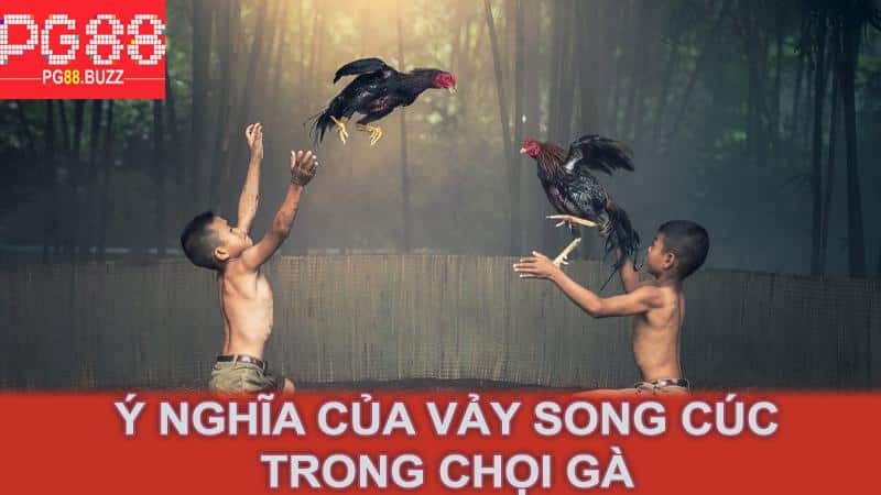 Ý nghĩa của vảy song cúc trong chọi gà