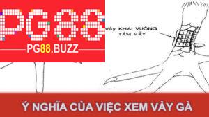 Ý nghĩa của việc xem vảy gà